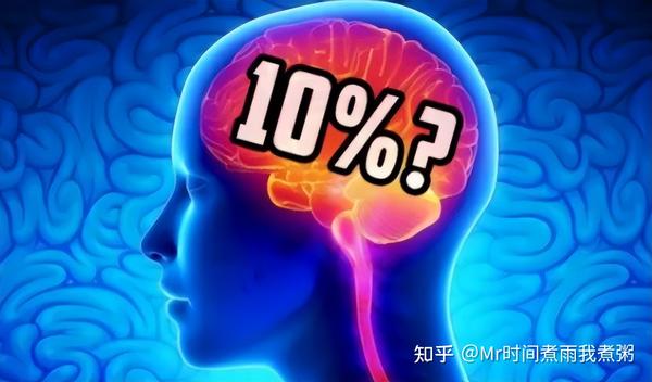 高三学生吃什么补脑抗疲劳效果最好（孩子上学累吃什么补脑好啊）