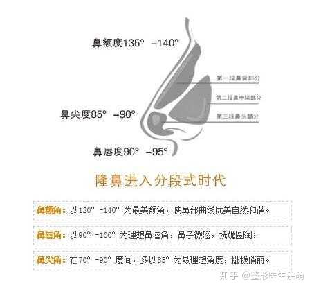 鼻部解剖结构及其美学标准 - 知乎
