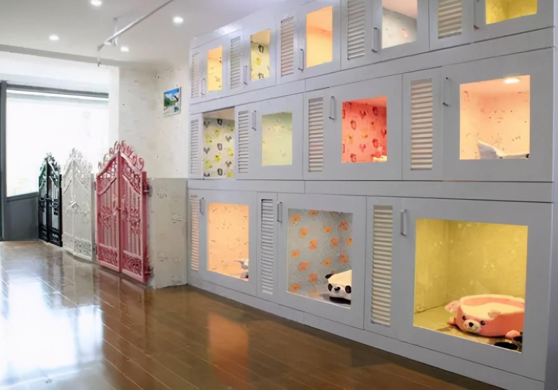 想要寄养狗狗的家长们,一定要非常谨慎.