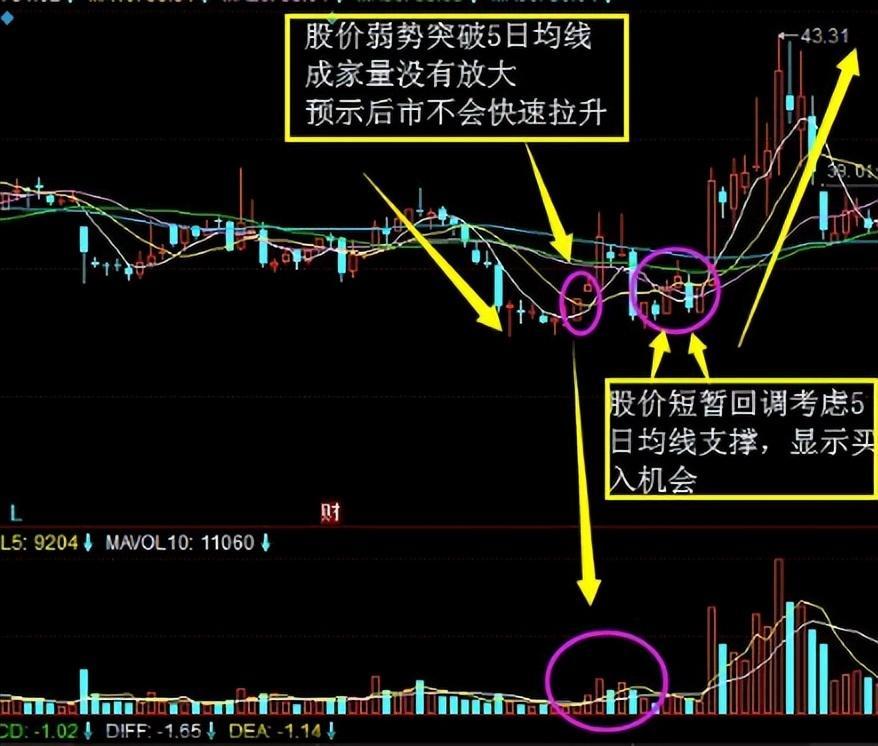股市百年不变的黄金铁律五日不破不必操作涨幅从头吃到尾