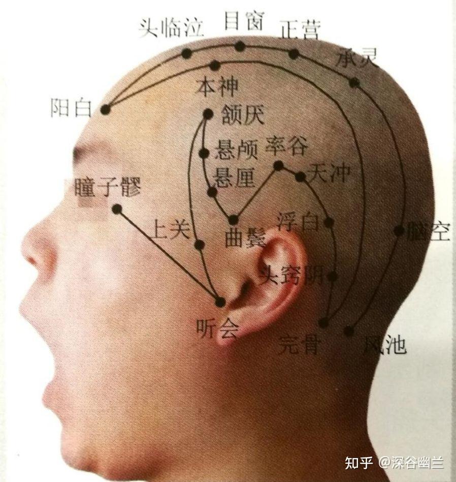 361个腧穴精准位置