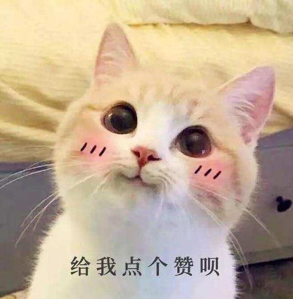 优美文案温柔治愈(温柔治愈系--朋友圈文案)
