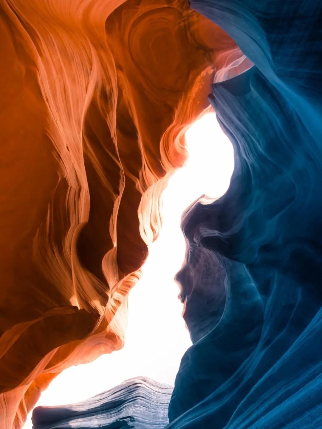 一半是海水一半是火焰消费医疗医生的行业角色分析