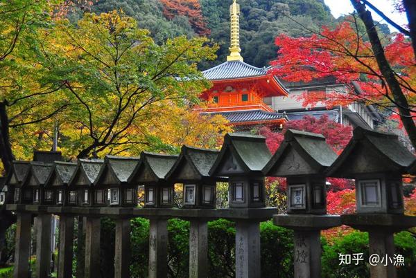 奈良 奈良市 知乎