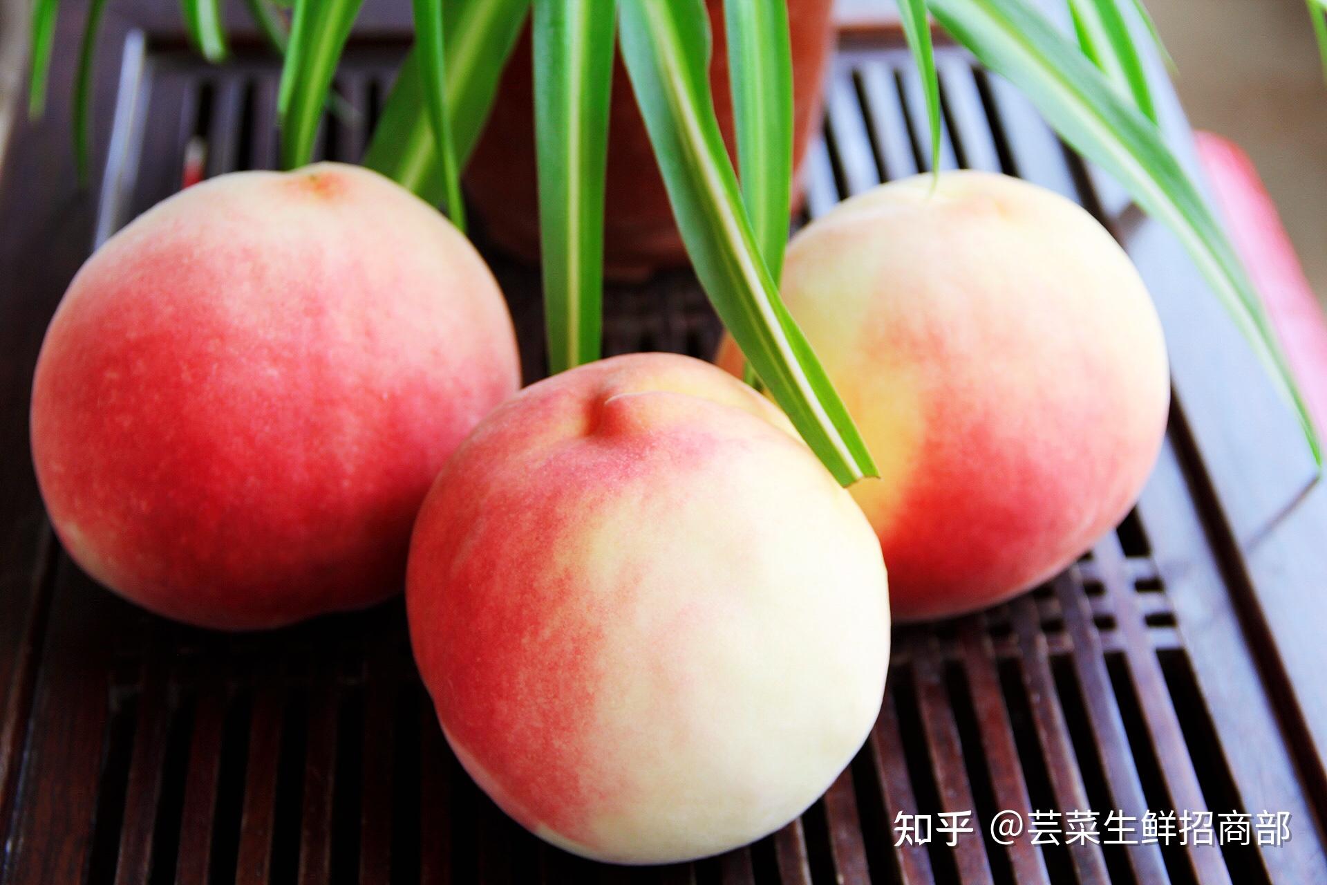 中秋好礼 桃王相伴 深州魁桃 桃中之王