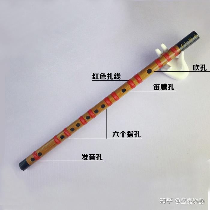 世界上十大公认最难学的乐器排行榜