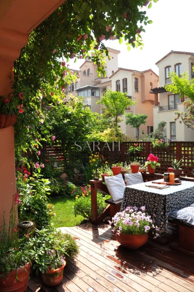 在爱尔兰的求学经历令sarah爱上了英国乡村风格的花园,并决定在自己的