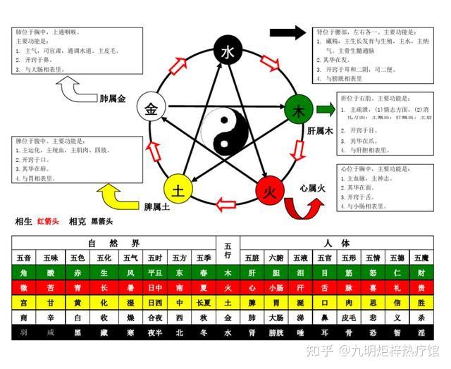 中医阴阳五行论——五行和五脏的对应关系 - 知乎