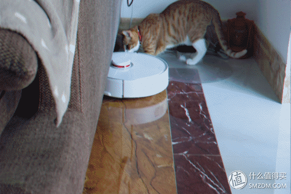 如何评价米家扫地机器人?