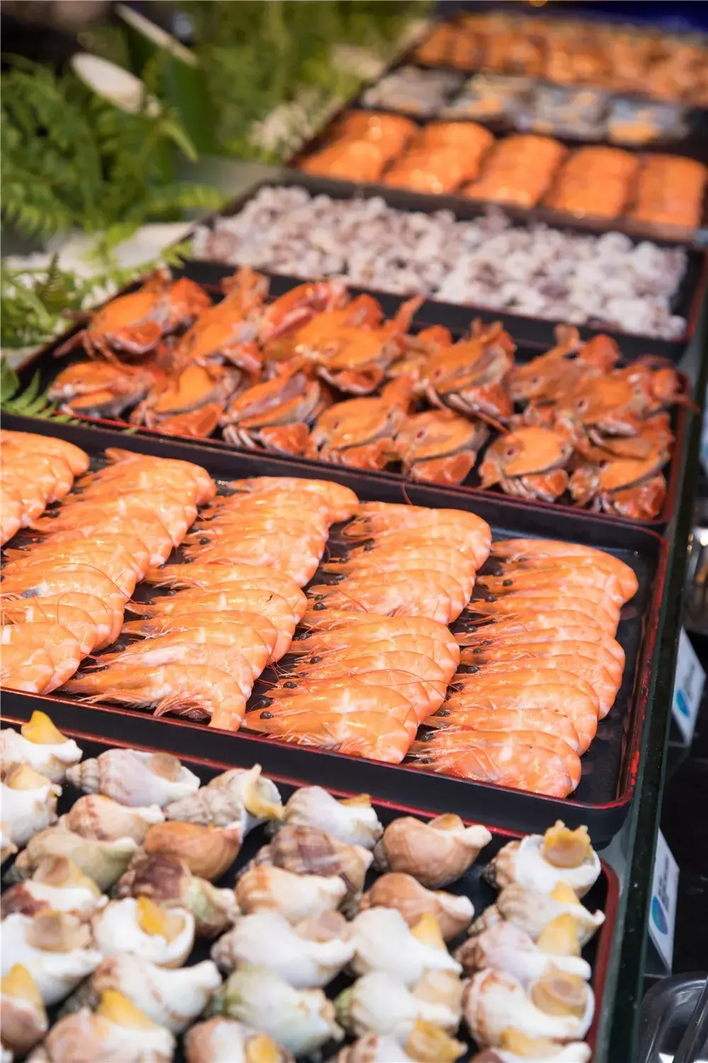 厚街德雷克海自助鲜餐厅99元吃遍300种海鲜大餐美食任意吃不限量