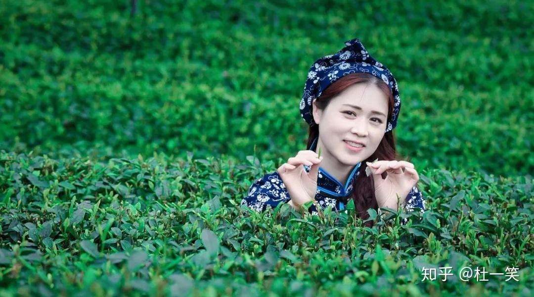 一日一城一文旅中国旅游城市系列之雅安