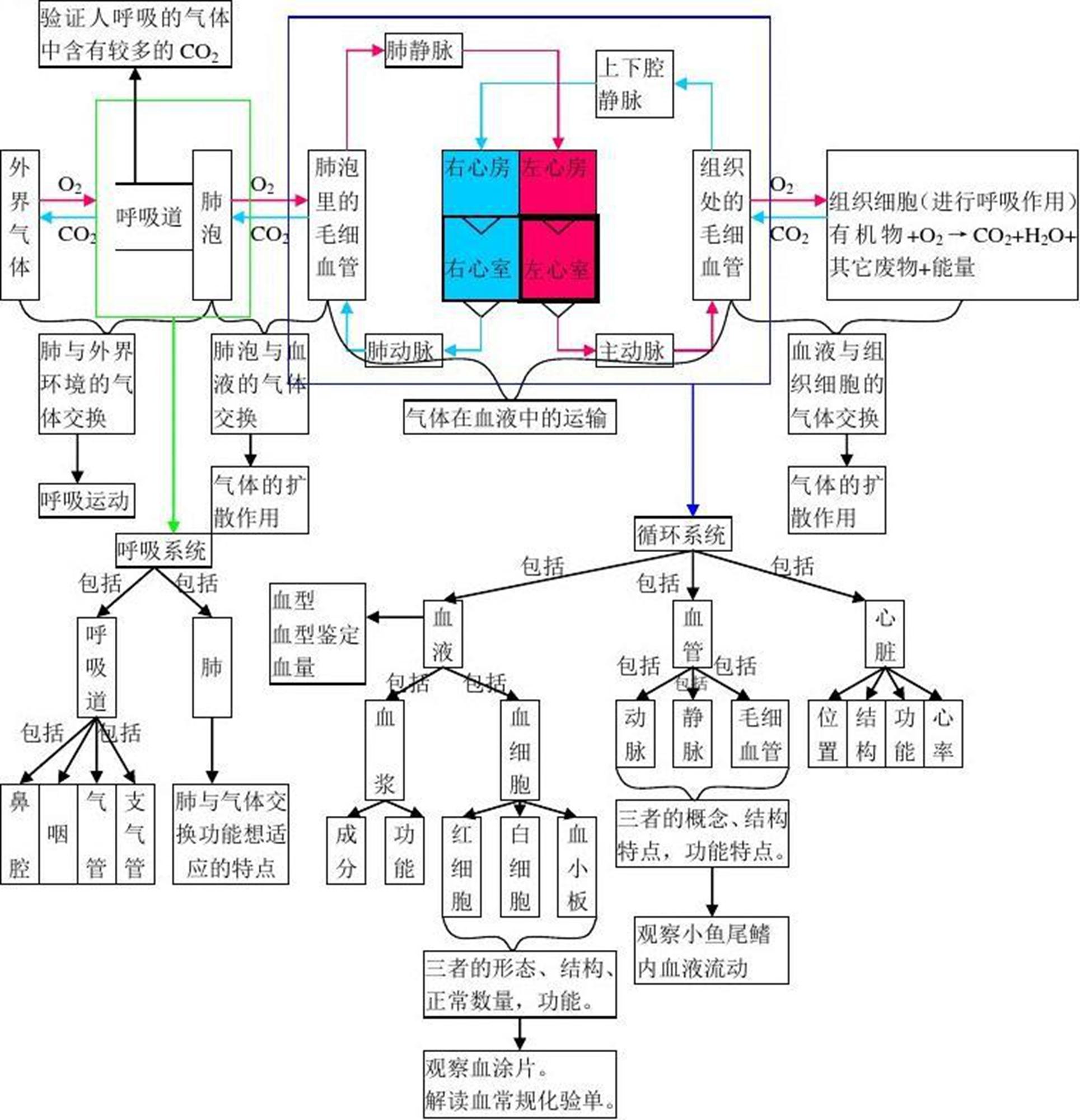 v2-ef582388fdcfdcb52e3b056baef96a97_r.jpg
