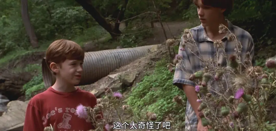 鳄鱼波鞋走天涯