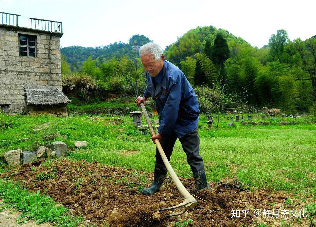 明朝,一农夫上山砍柴,听到婴儿哭声,在山洞中找到一狐狸窝,窝中有一