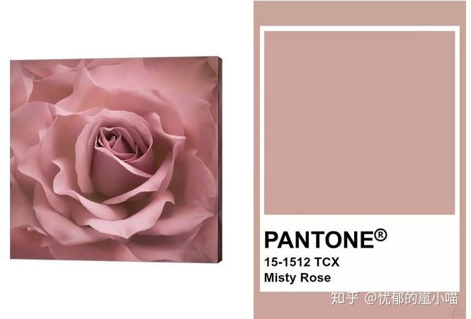 颜色来源于枯萎的玫瑰花,新鲜的玫瑰娇艳欲滴,衰败干枯的玫瑰有一种