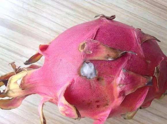 火龙果外面皮坏了,里边果肉好的能吃吗?