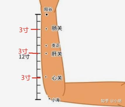 弯寸关位置图图片