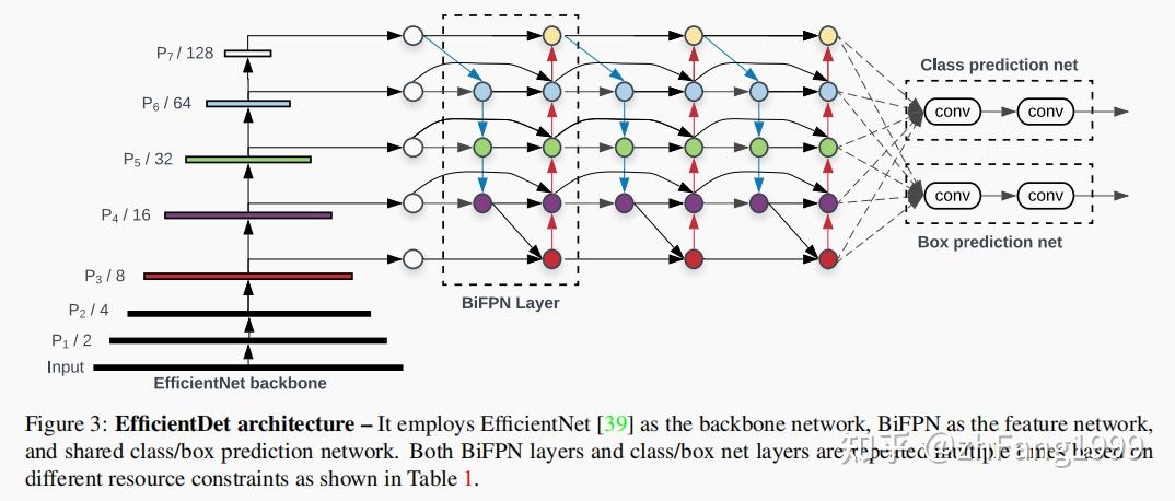 EfficientDet之Backbone结构解析（超详细版本） - 知乎