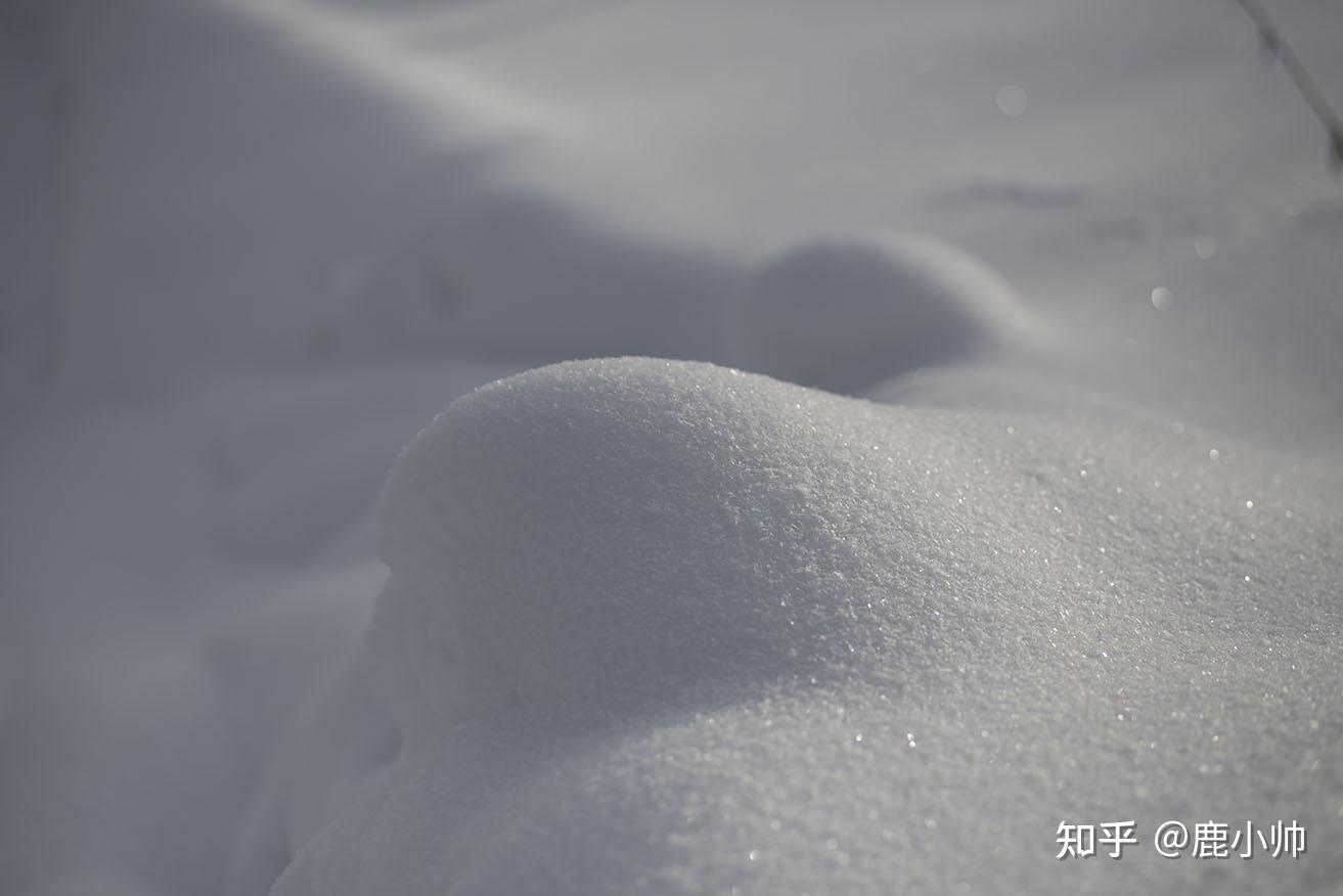 摄影初学者怎么系统地理解数码相机繁杂的功能?