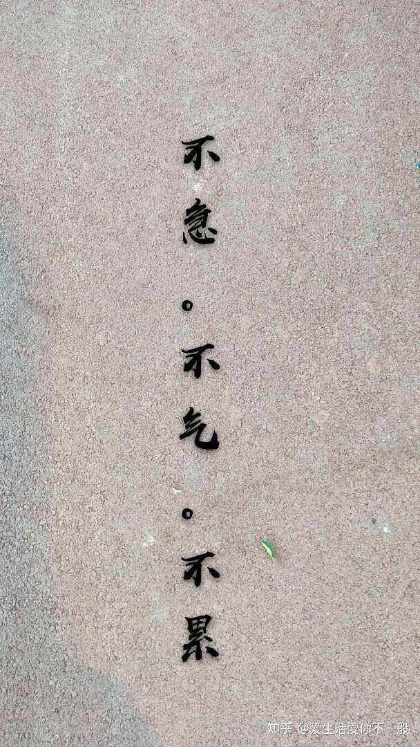 无需抱怨,指责,痛苦,一切都是生命的一部分,一切都刚刚好.