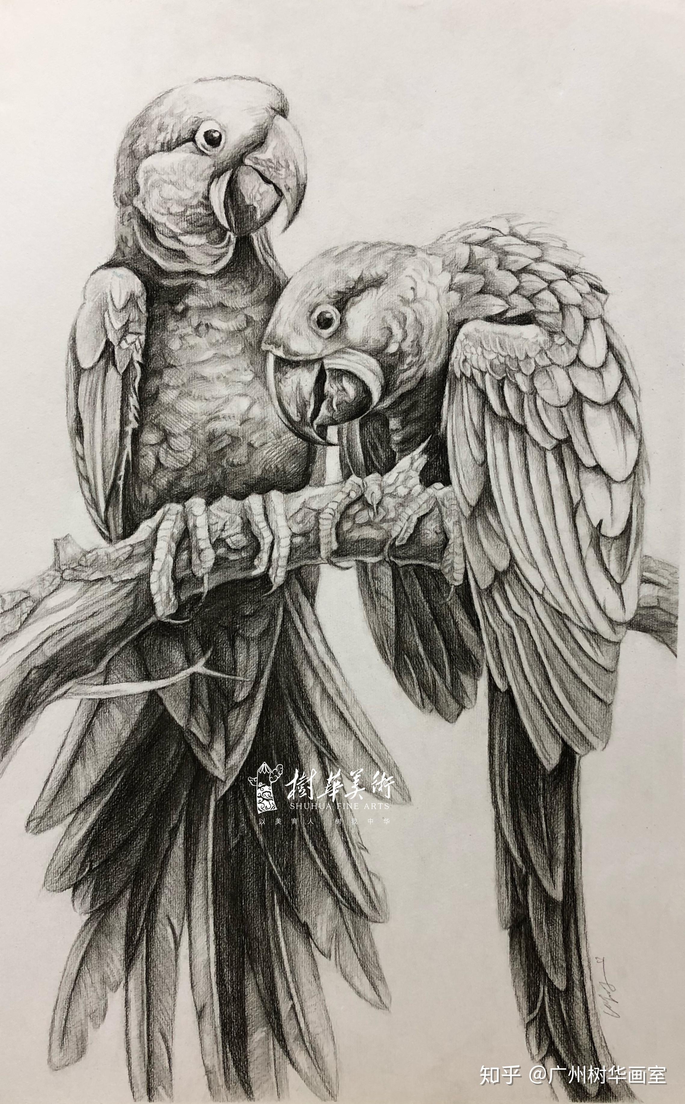 素描中高级班学员作品