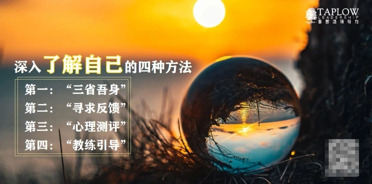 心智成长底层的元认知大多数人并未真正了解自己