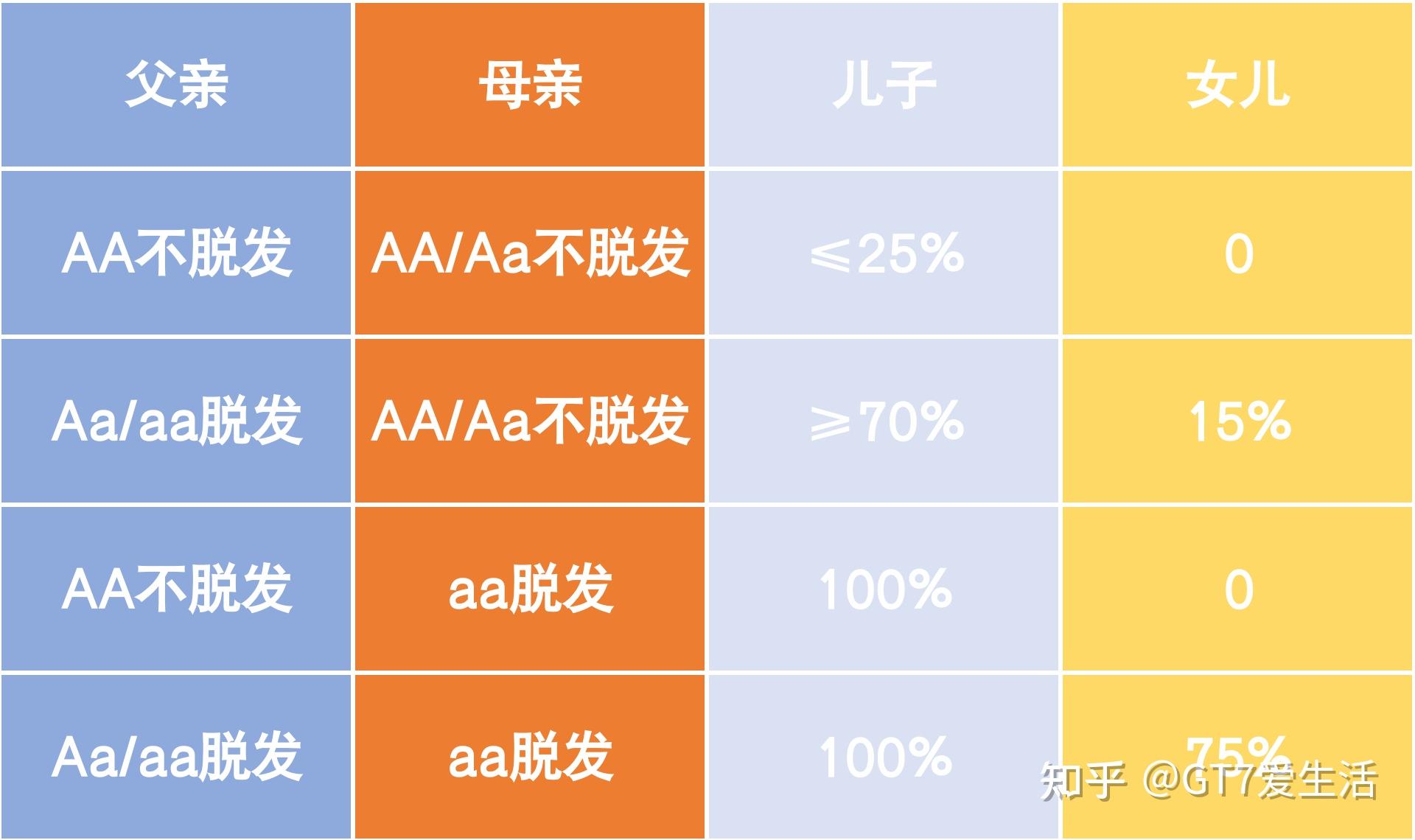 秃顶基因的遗传图解图片