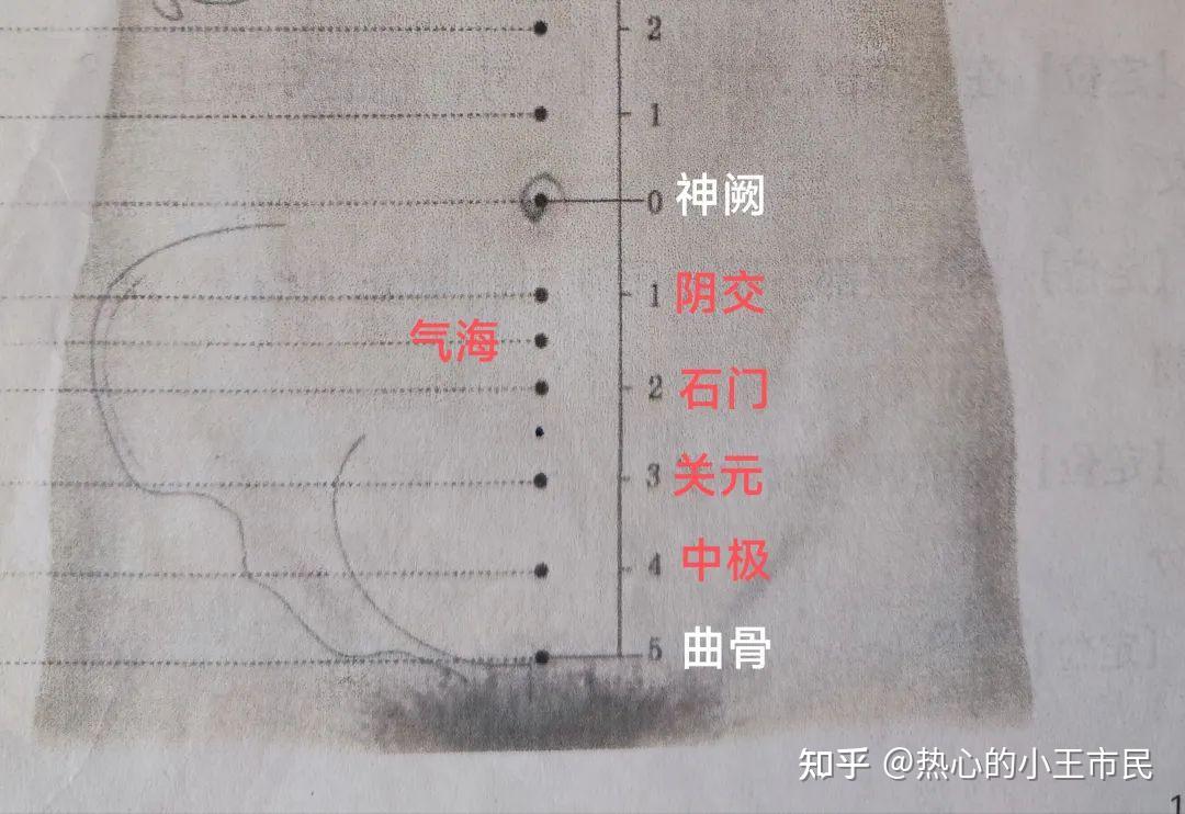 倪海厦《针灸》笔记1-5:任督脉与经络腧穴上 - 知乎