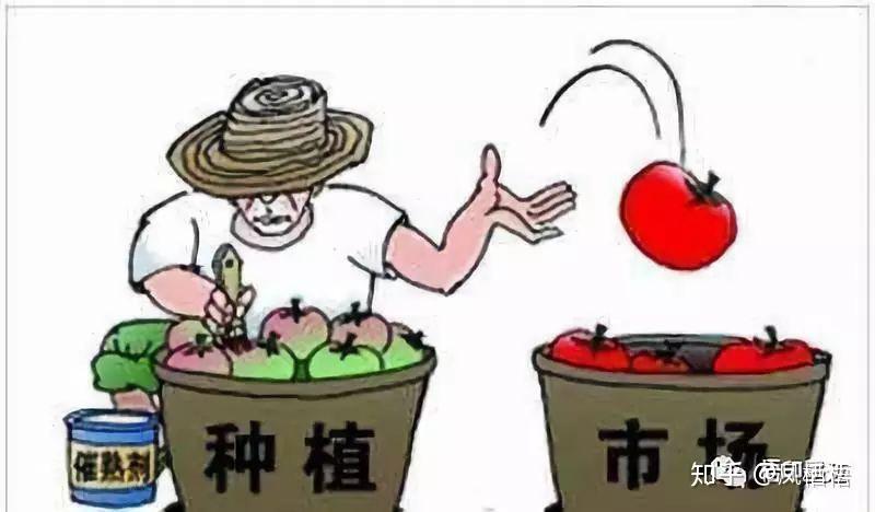 子曰：“不时不食。”反季食品不能吃？ - 知乎