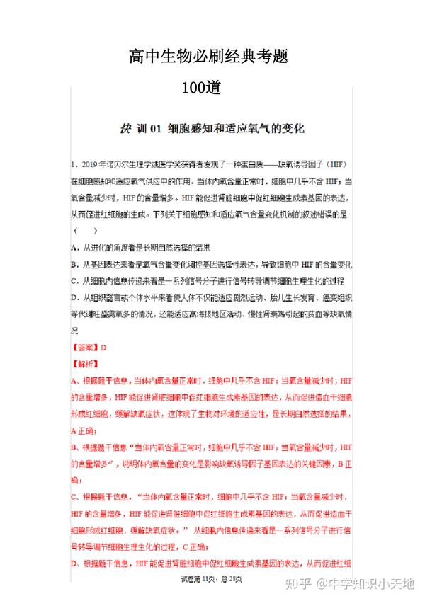 洋葱根尖细胞有细胞核吗 根尖细胞有没有细胞核 洋葱根尖细胞有丝分裂