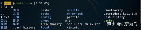 Zsh kali linux настройка