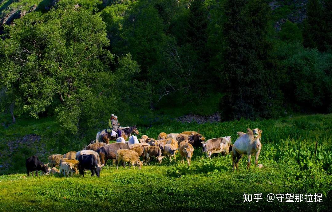 一首《養蜂女的獨白》,彷彿一扇窗,讓我們透過純淨的玻璃,看到了養蜂