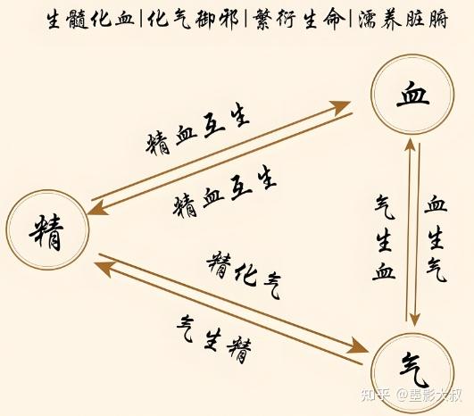 05气一元论:中医理论的基石与应用 - 知乎