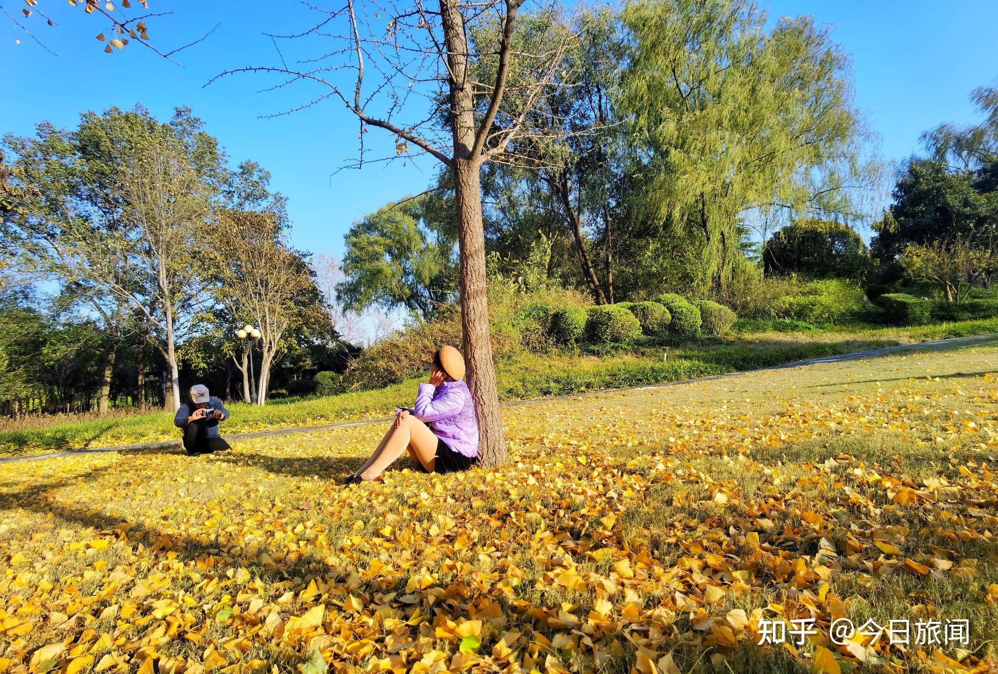 衍秀湖秋韻風光.中國國花園內的衍秀湖,位於國花園西大門向東500米處.