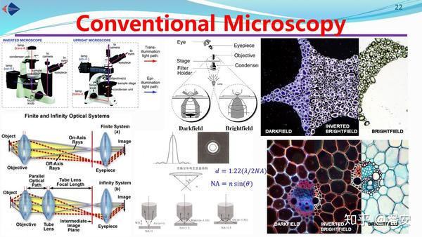 Pan Group生物光子学讲义 三 显微镜基础 明场 暗场 像衬 荧光