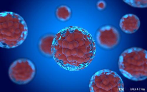 v2-f004faf6e025510fba2ae88a54564874_1440w.jpg?source=172ae18b