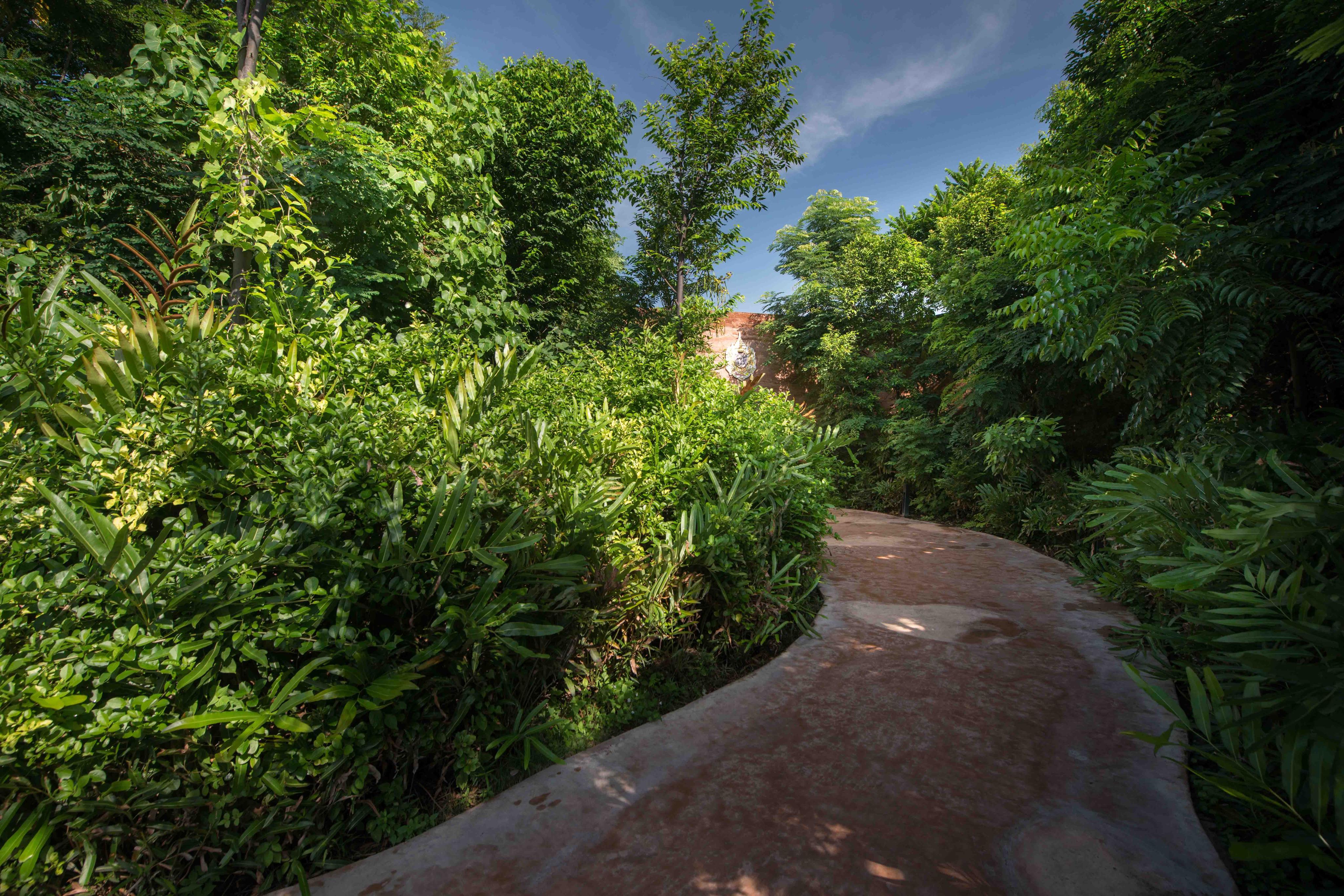 林冠视角下的城市森林