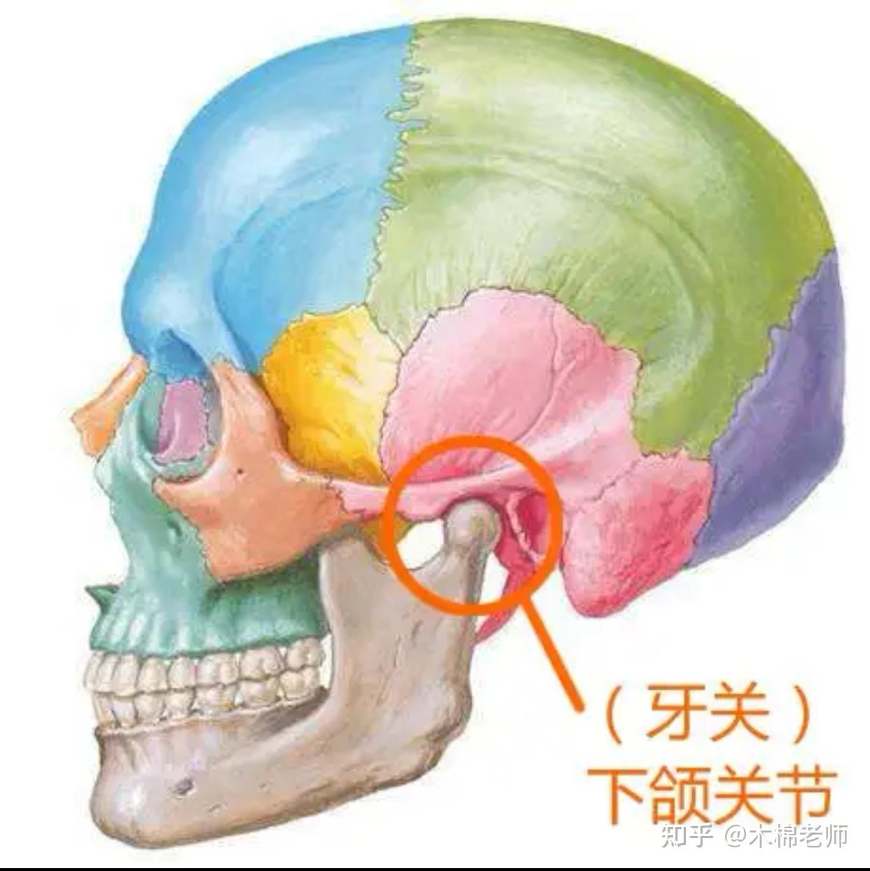 有哪些【打开牙关】的好方法