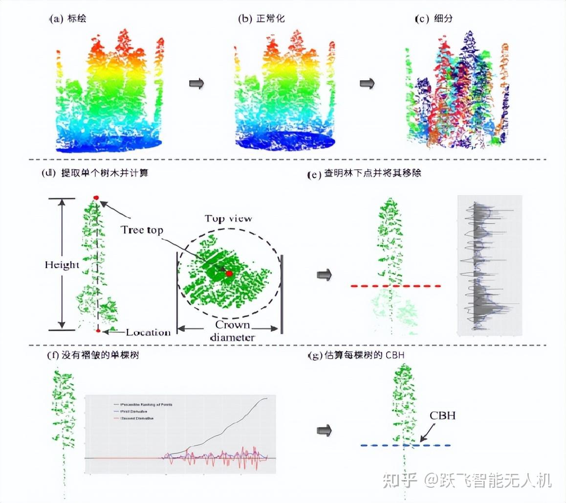 基于激光雷达技术的林业资源三维立体调查系统 - 知乎