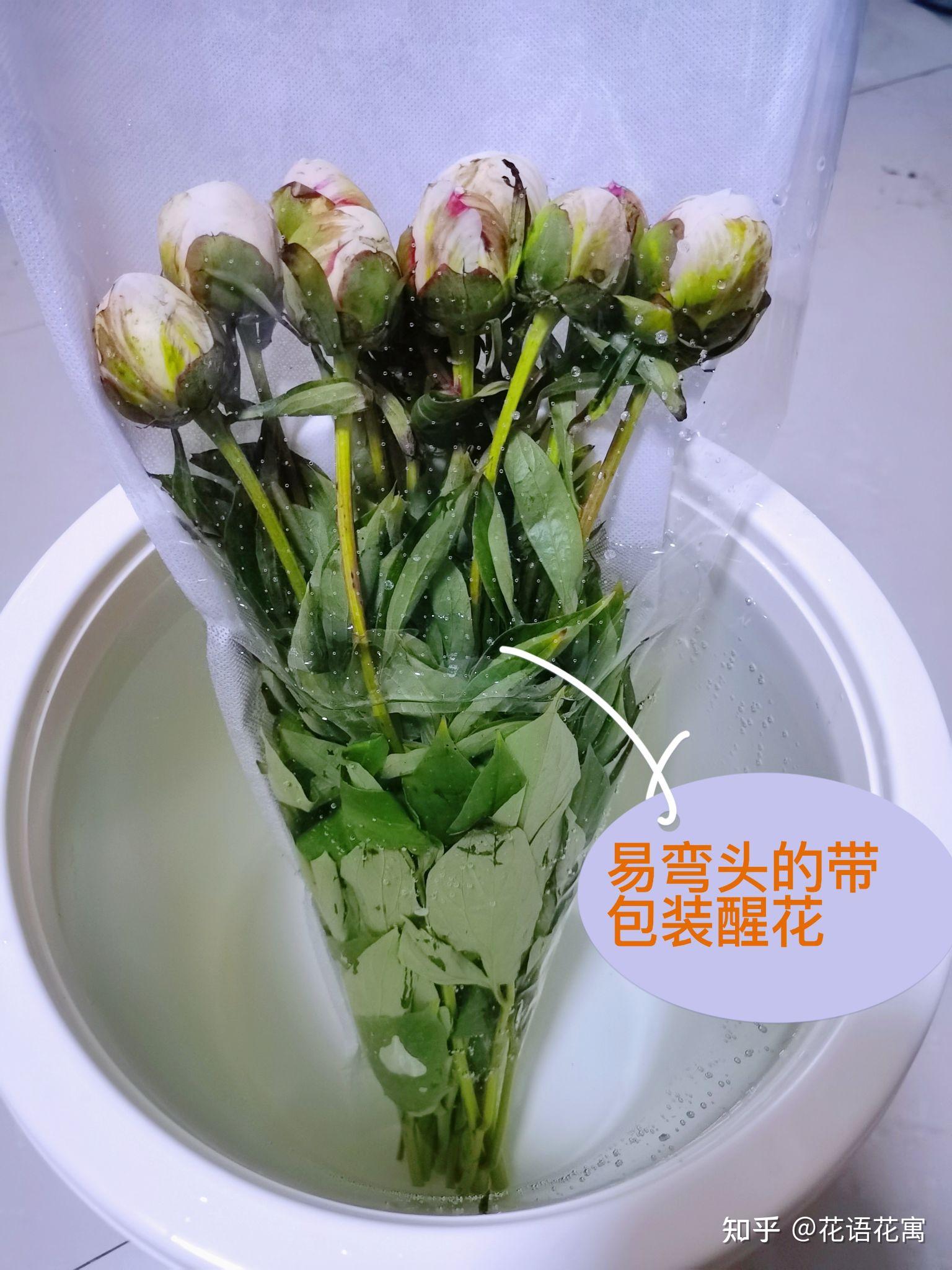 鲜花养护知识关于醒花