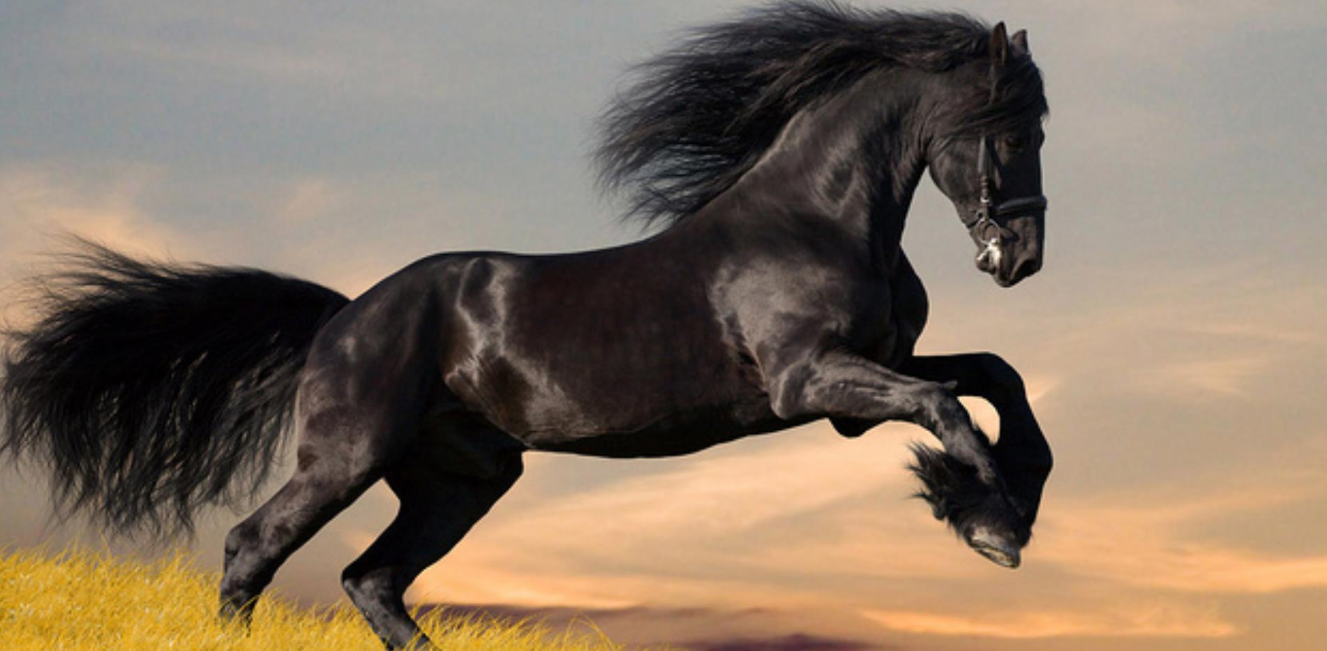 常常见到一个刚毕业的朋友很着急地发来咨询信,说自己跳槽经验不足