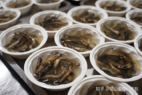福建的土笋冻,真勇士才不管它是虫还是笋呢! - 知乎