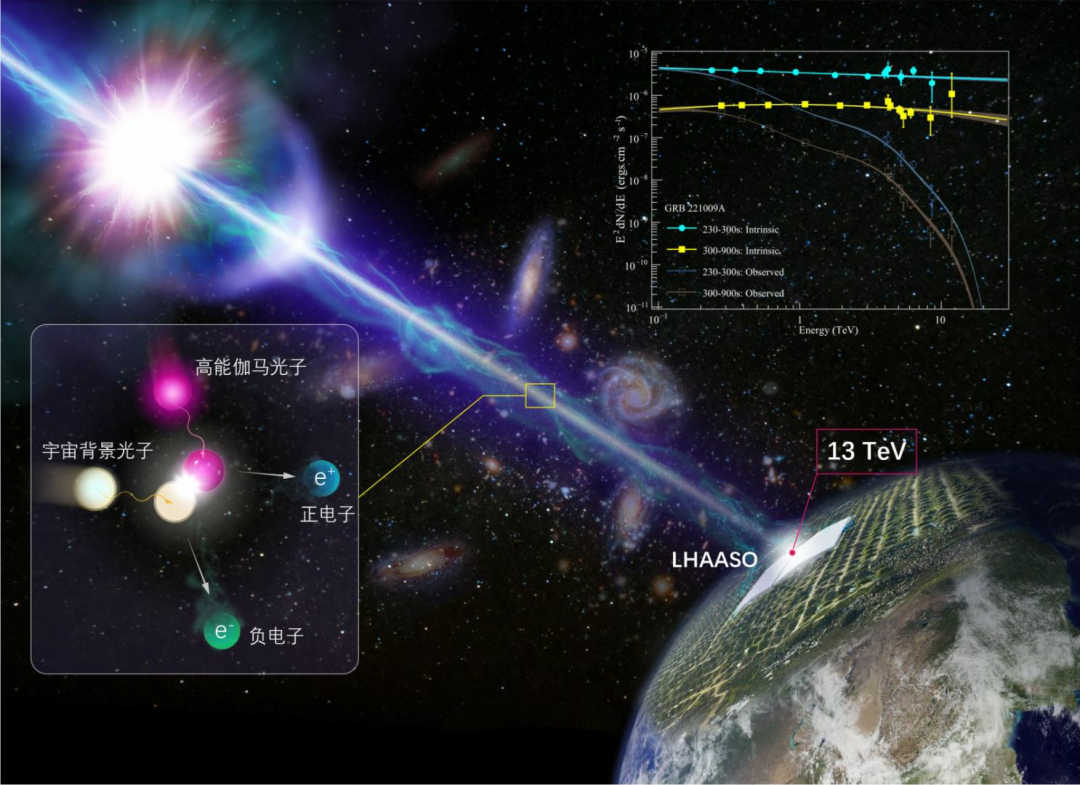 一起吃个科学大瓜 