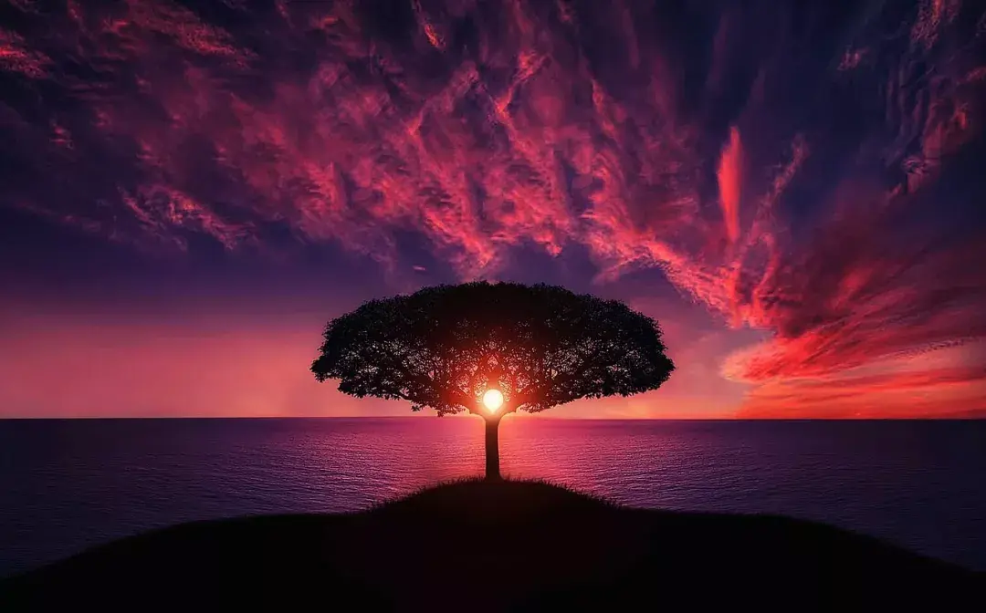 v2-f04f3665dc75f298f6bfe984d18bcdbf_r.jpg