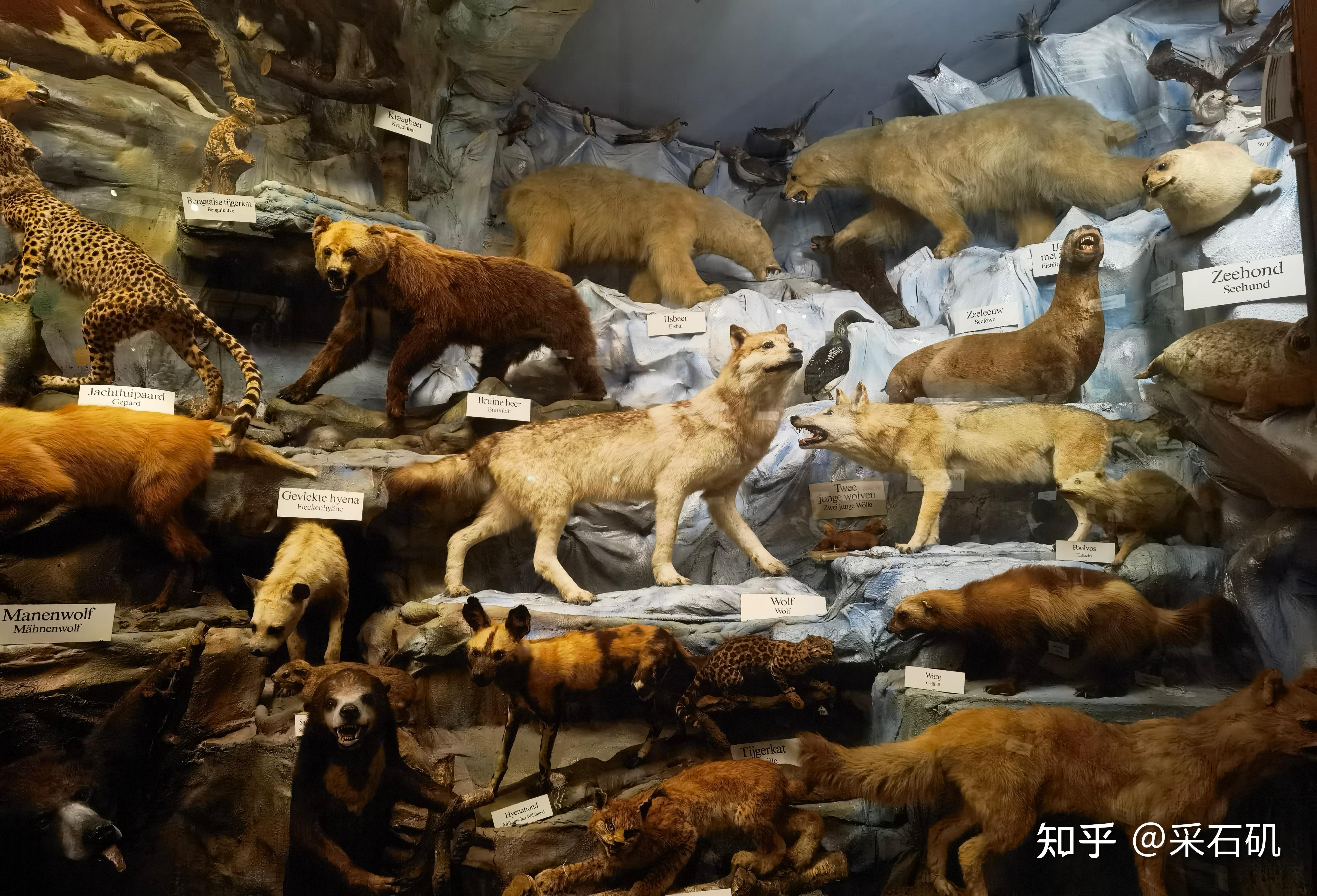 该博物馆主要展示与天主教传教士相关的展品,包括家庭用品,传教士照片