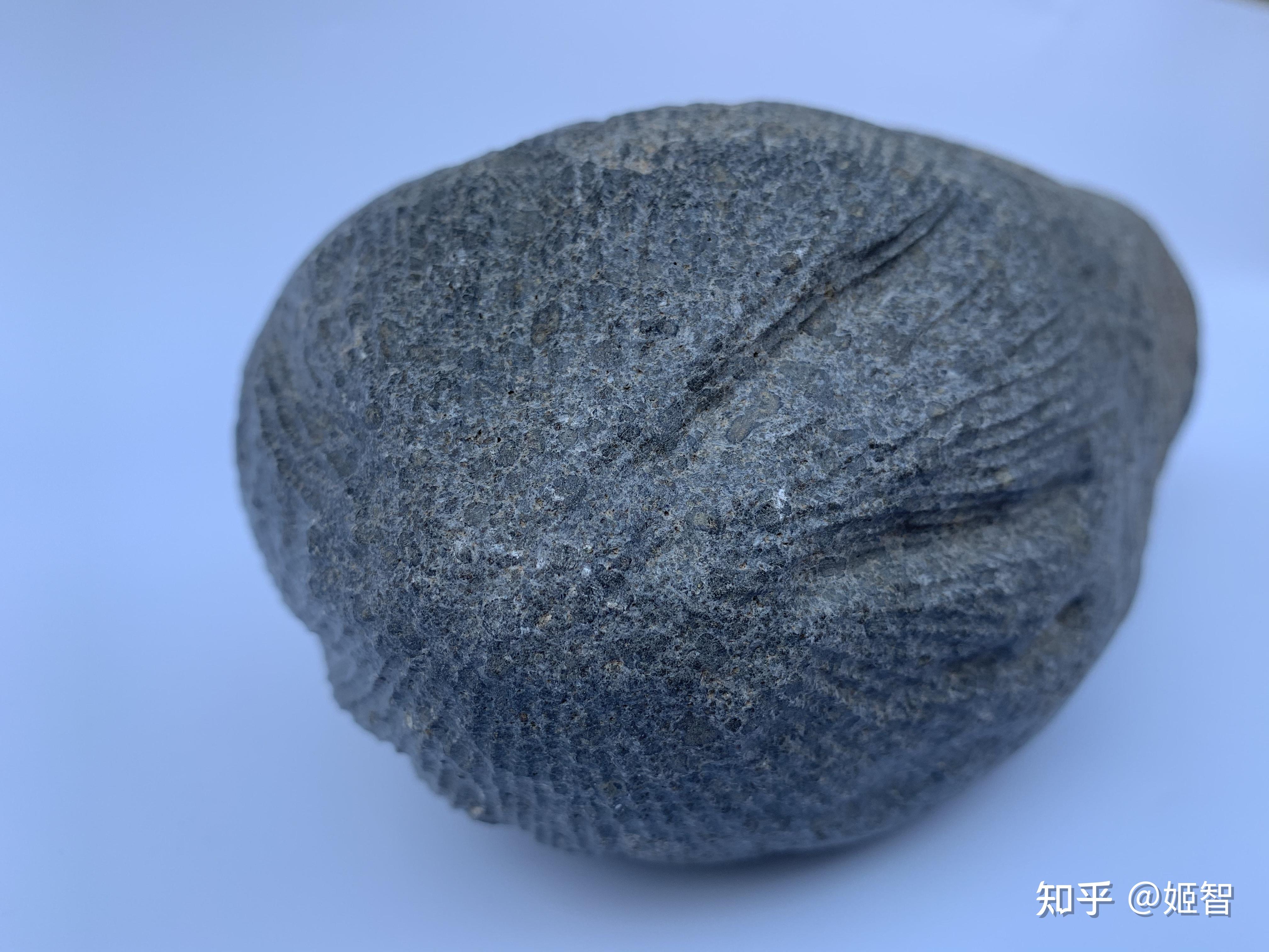 cr碳质球粒陨石图片
