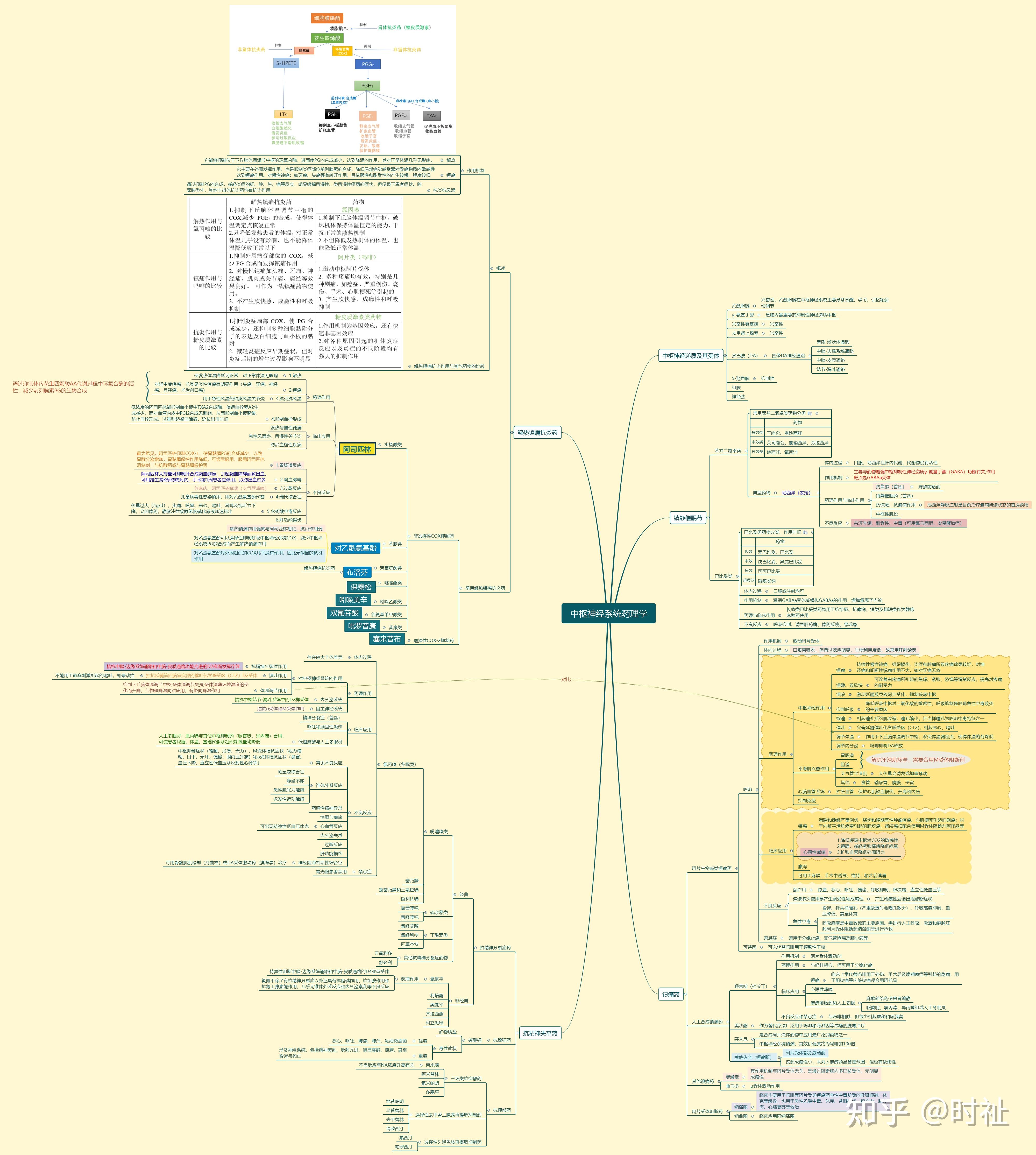 药理学思维导图