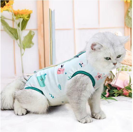 怎样去除衣服上的猫毛 v2-f071f3725f76b388142c5c9323775297_r.jpg