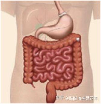 手术减肥_减肥手术医保能不能报销_减肥手术有什么危害