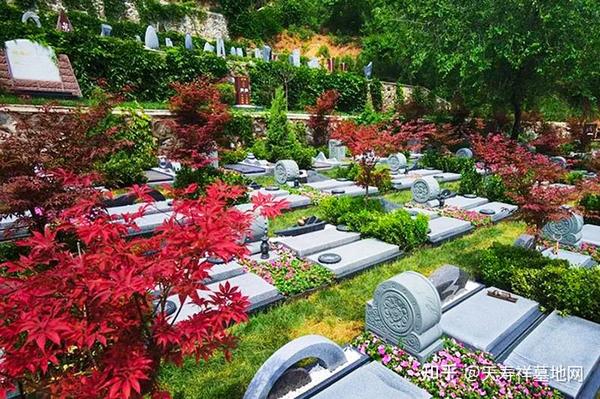节地生态葬树葬，北京树葬公墓介绍 - 知乎